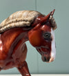 El Finito OOAK Chestnut Braided Custom Irish Cob By Julie Keim SHCF24 May End of Month Sale SS524