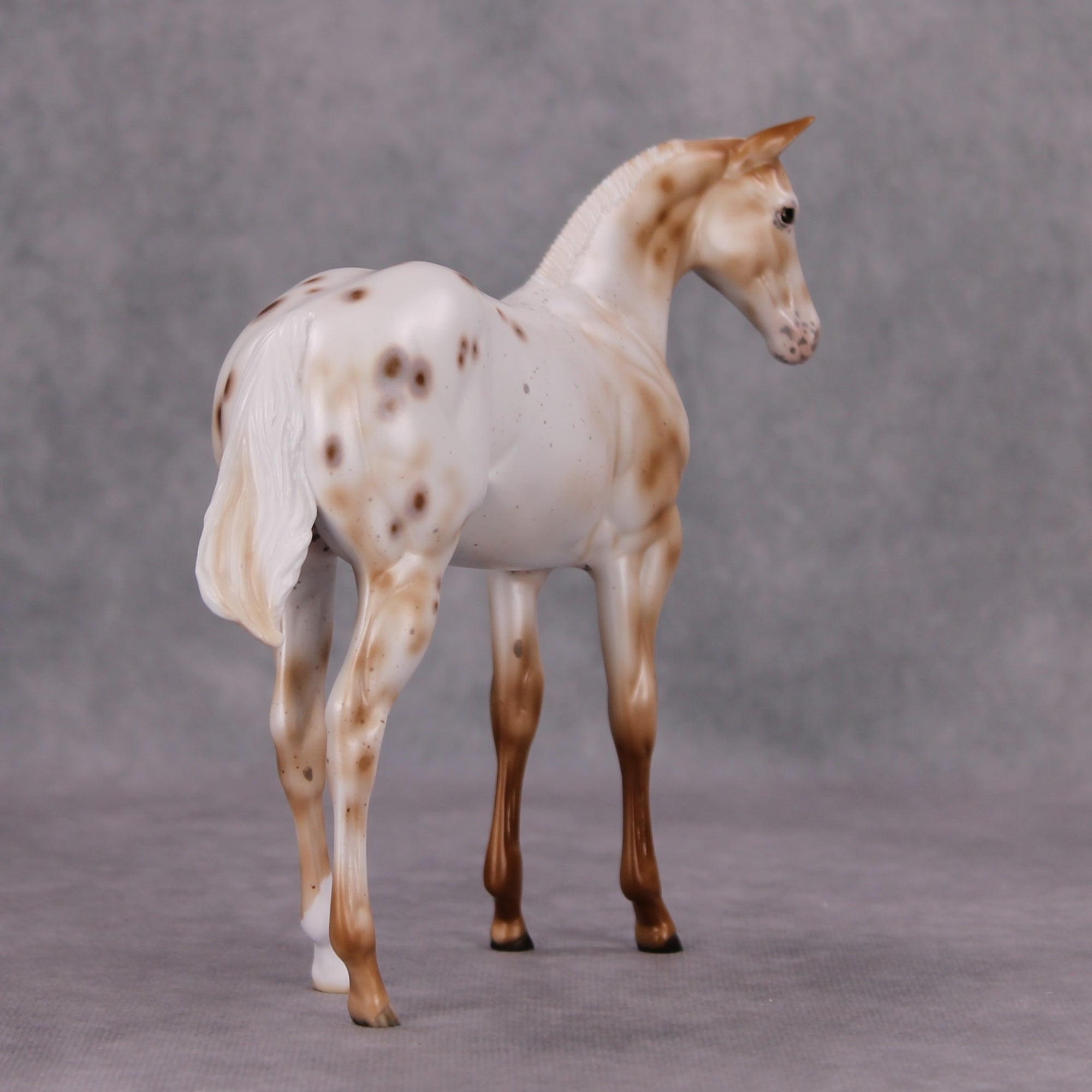Pinch of Nutmeg OOAK Pearl Chestnut Leopard Appy Weanling By Ellen Robbins MM24 Online Drawing Piece