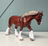 El Finito OOAK Chestnut Braided Custom Irish Cob By Julie Keim SHCF24 May End of Month Sale SS524