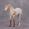 Preview Listing Only Pinch of Nutmeg OOAK Pearl Chestnut Leopard Appy Weanling By Ellen Robbins MM24 Online Drawing Piece