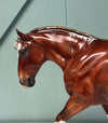 El Finito OOAK Chestnut Braided Custom Irish Cob By Julie Keim SHCF24 May End of Month Sale SS524