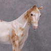 Preview Listing Only Pinch of Nutmeg OOAK Pearl Chestnut Leopard Appy Weanling By Ellen Robbins MM24 Online Drawing Piece