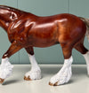 El Finito OOAK Chestnut Braided Custom Irish Cob By Julie Keim SHCF24 May End of Month Sale SS524