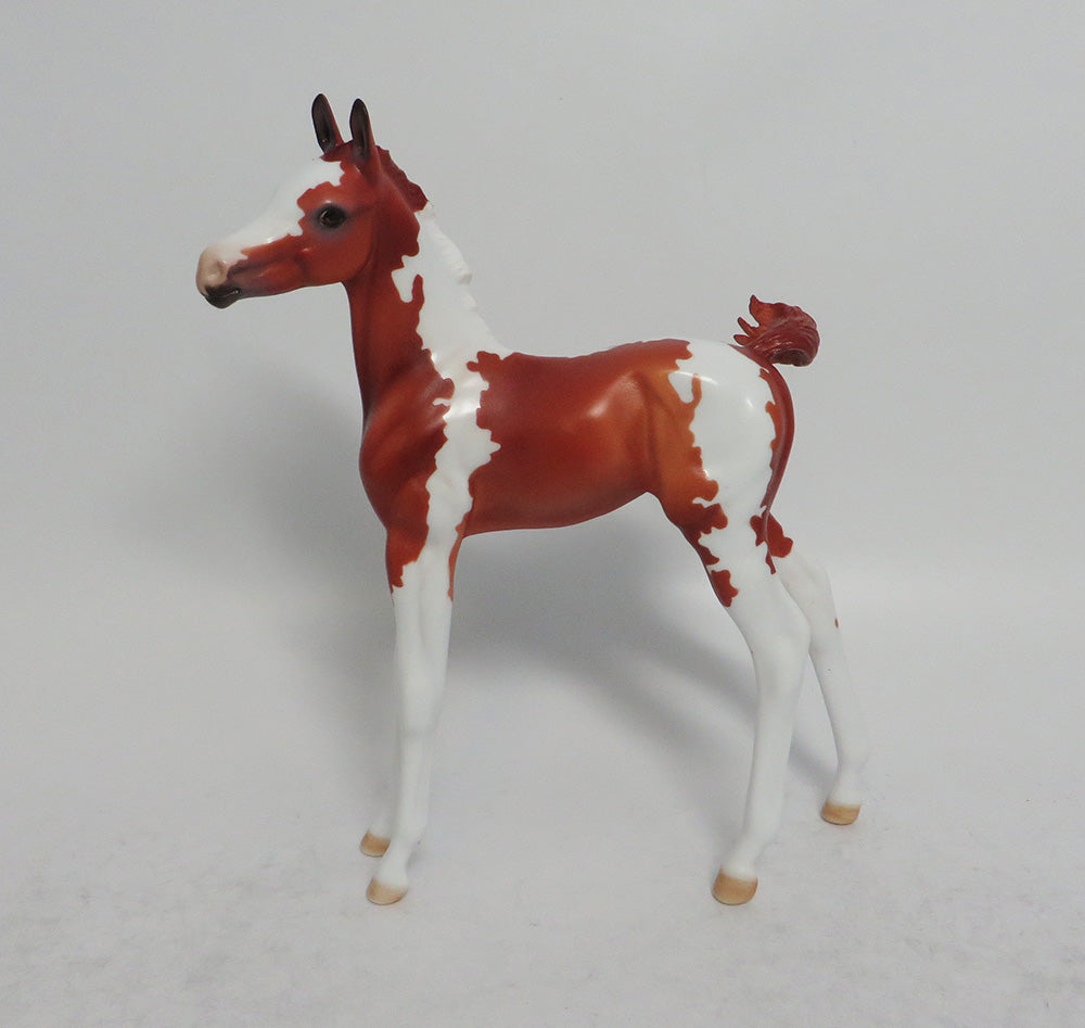 ARCHER-OOAK CHESTNUT PINTO COLT BY DAWN QUICK 3/29/18