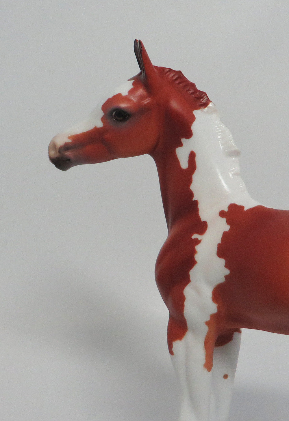 ARCHER-OOAK CHESTNUT PINTO COLT BY DAWN QUICK 3/29/18