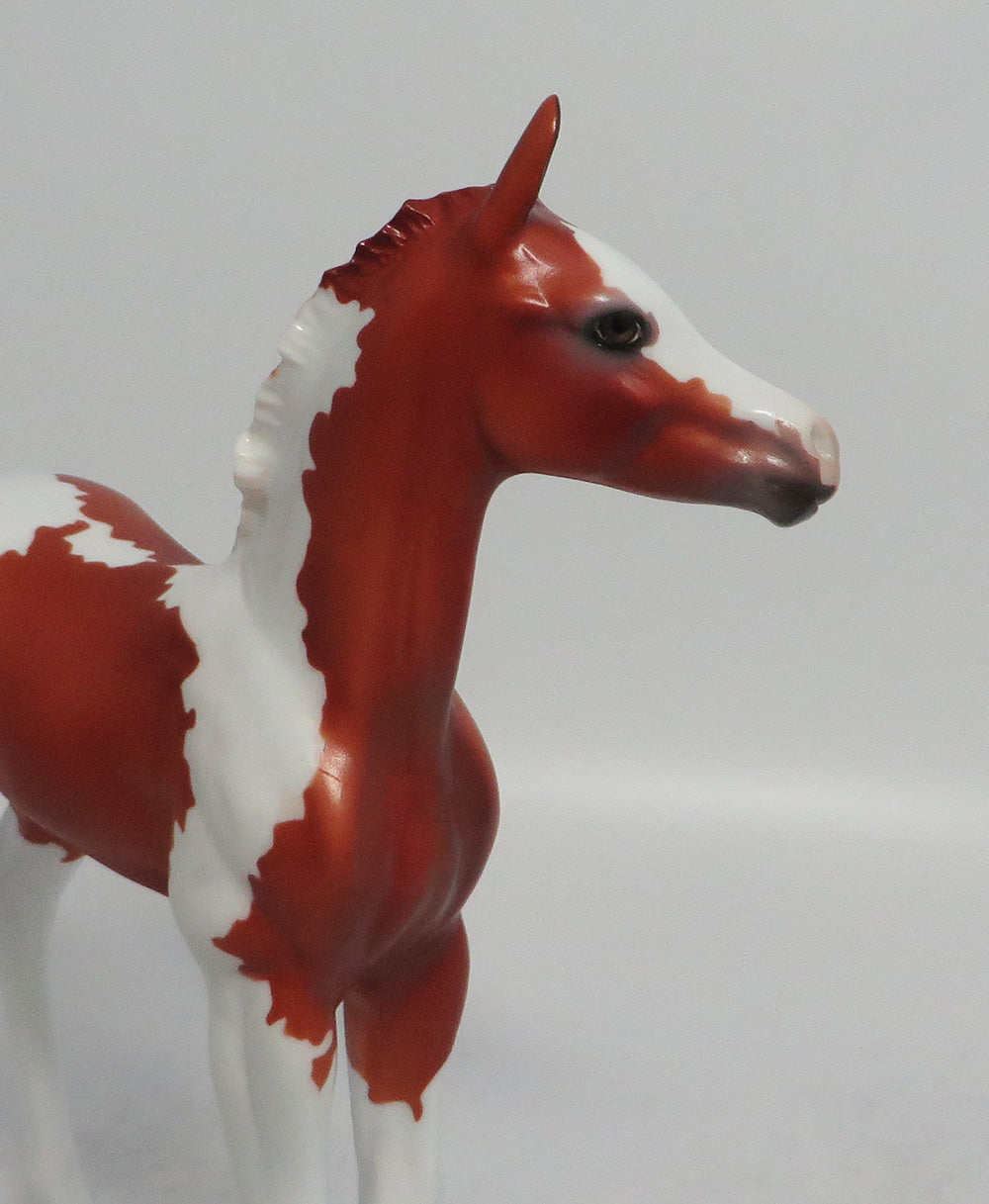 ARCHER-OOAK CHESTNUT PINTO COLT BY DAWN QUICK 3/29/18