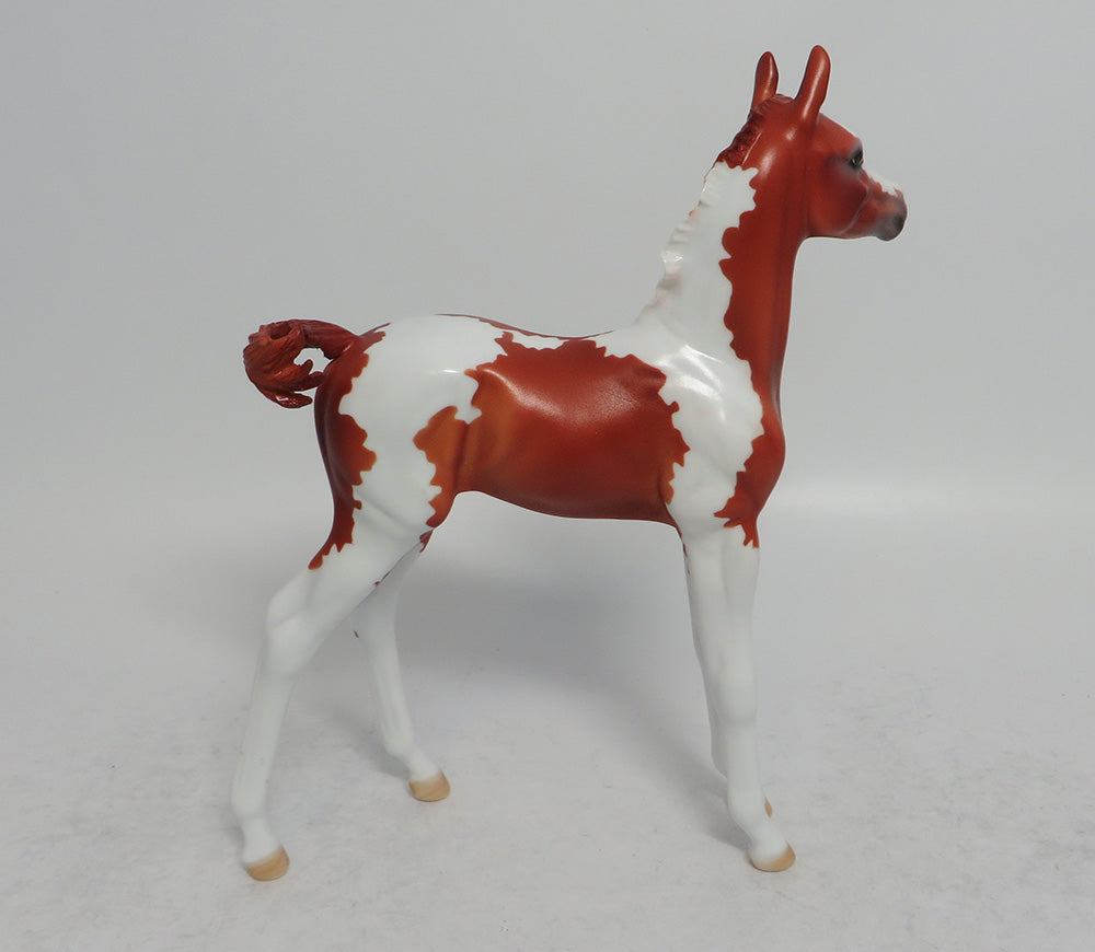 ARCHER-OOAK CHESTNUT PINTO COLT BY DAWN QUICK 3/29/18