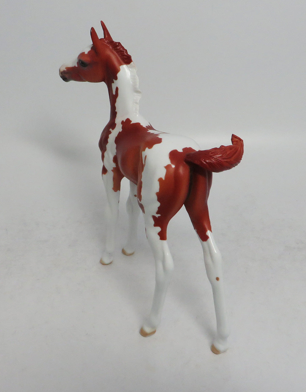 ARCHER-OOAK CHESTNUT PINTO COLT BY DAWN QUICK 3/29/18