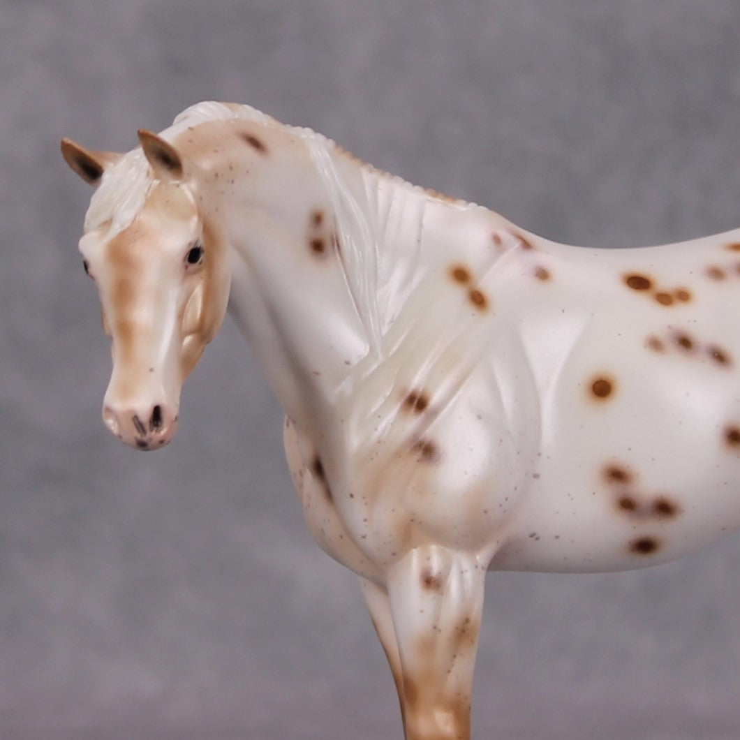 Chili Dust OOAK Chestnut Appy Pebble Arabian By Ellen Robbins MM24
