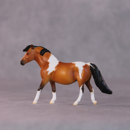 "Stephanie" LE-5 Pony Chip By Erin Corbett $99 Chips Sale 05/01/2025