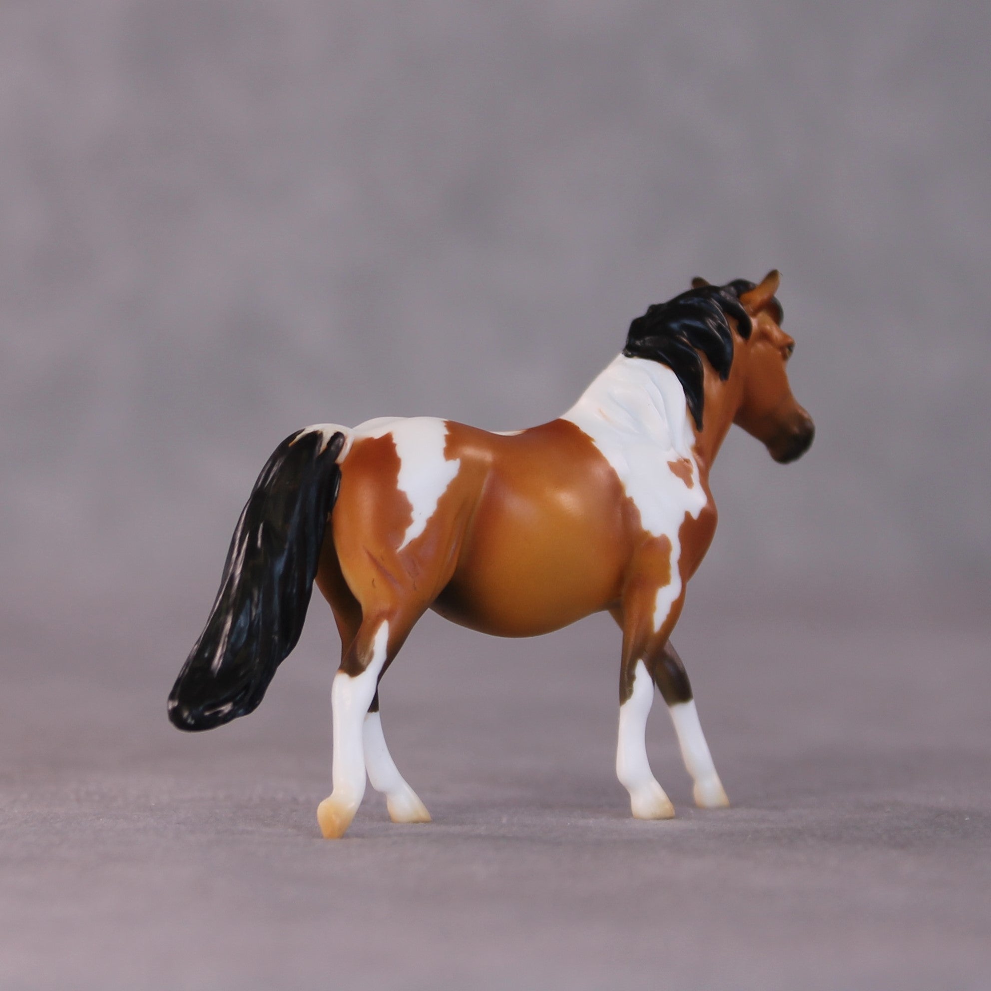 "Stephanie" LE-5 Pony Chip By Erin Corbett $99 Chips Sale 05/01/2025