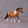 &quot;Stephanie&quot; LE-5 Pony Chip By Erin Corbett $99 Chips Sale 05/01/2025