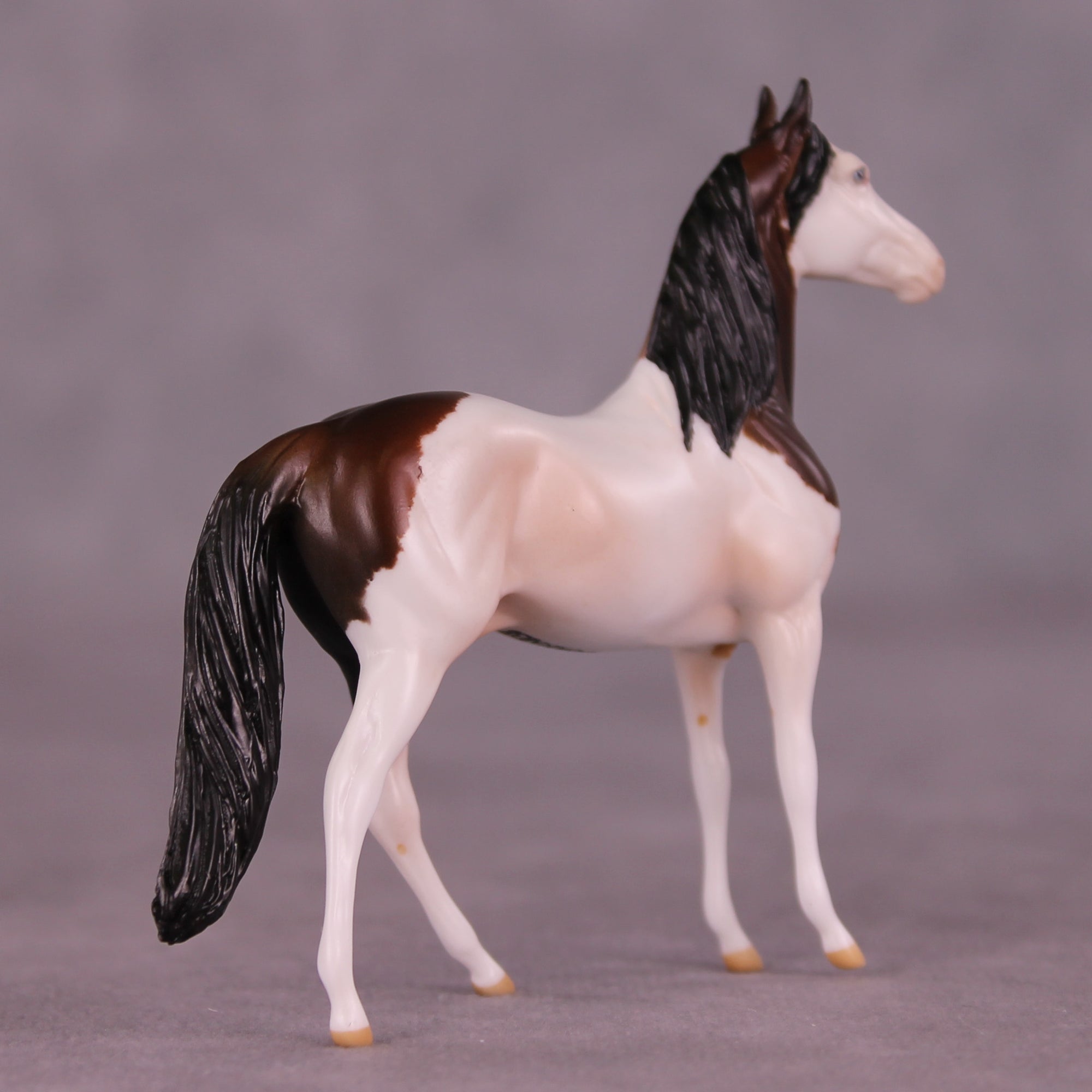 Cannoli OOAK Chip Morgan by Anna Rieck LHS25