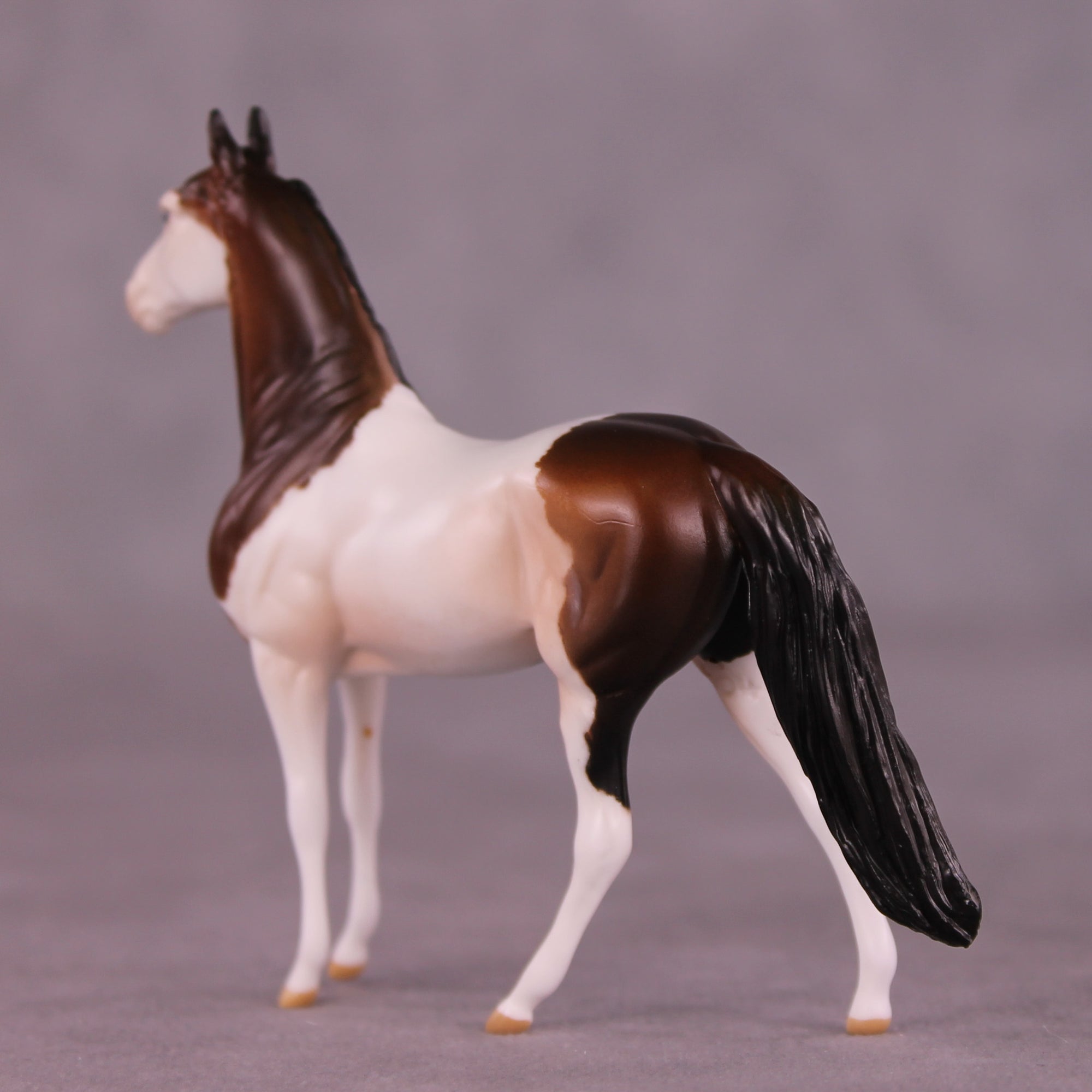 Cannoli OOAK Chip Morgan by Anna Rieck LHS25