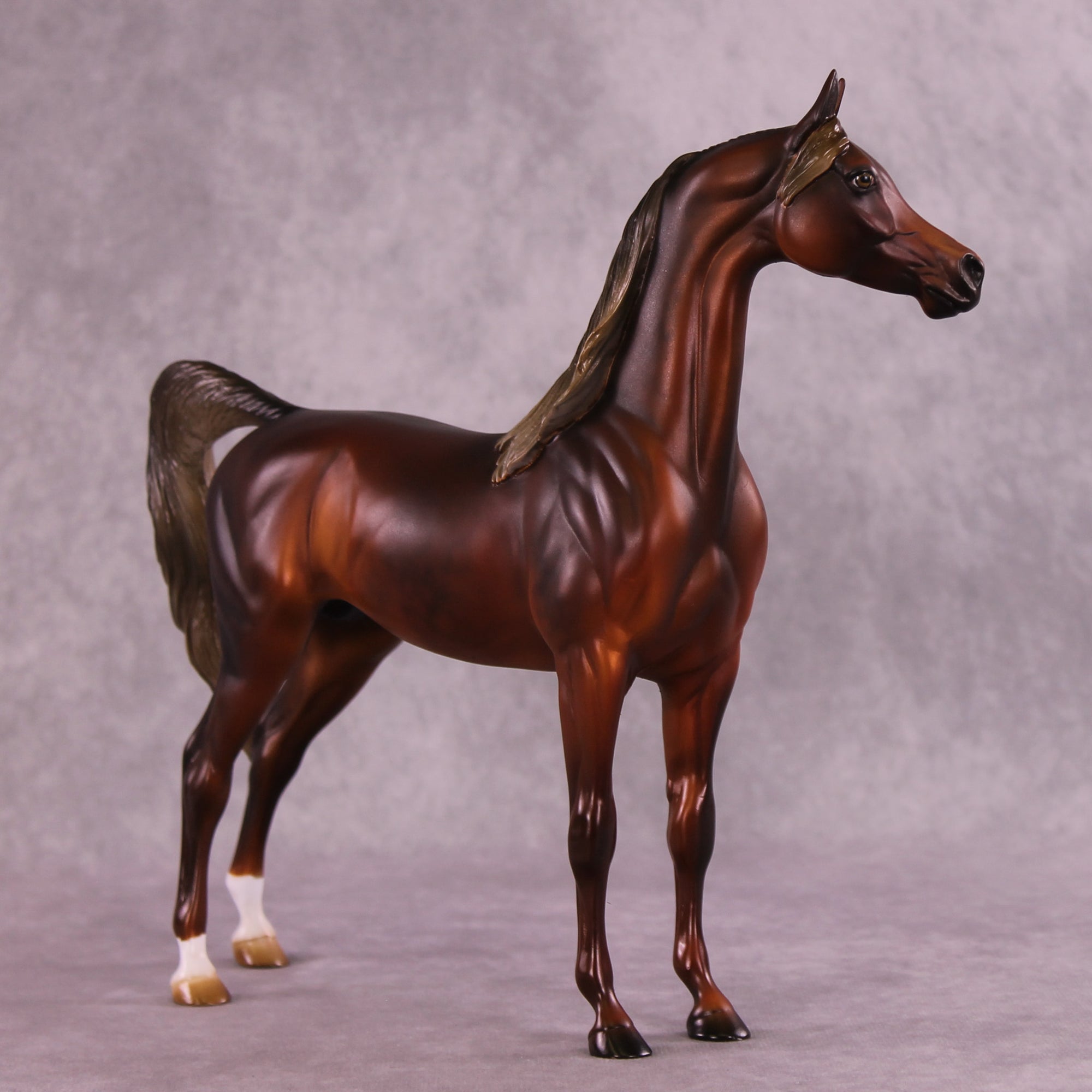 Frisco OOAK Arabian Stallion by Julie Keim DDOOAKs25
