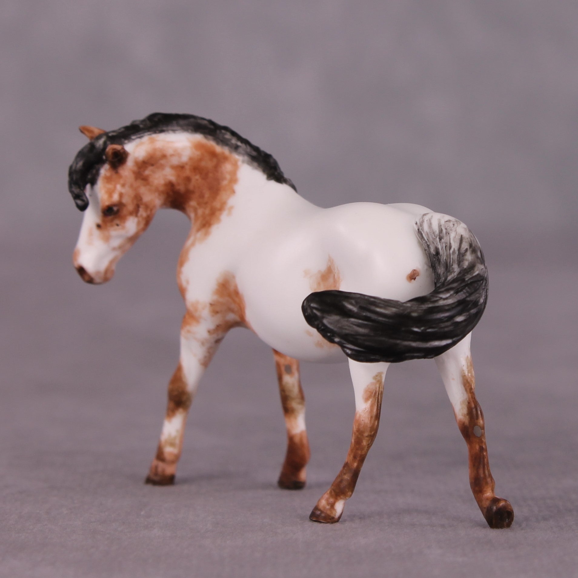 "Tidder" OOAK FCM Pony Chip by Andrea Thomason SHCF25