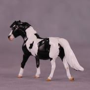 Black Bean OOAK Chip Pony by Kike (Enrique) Duarte LHS25