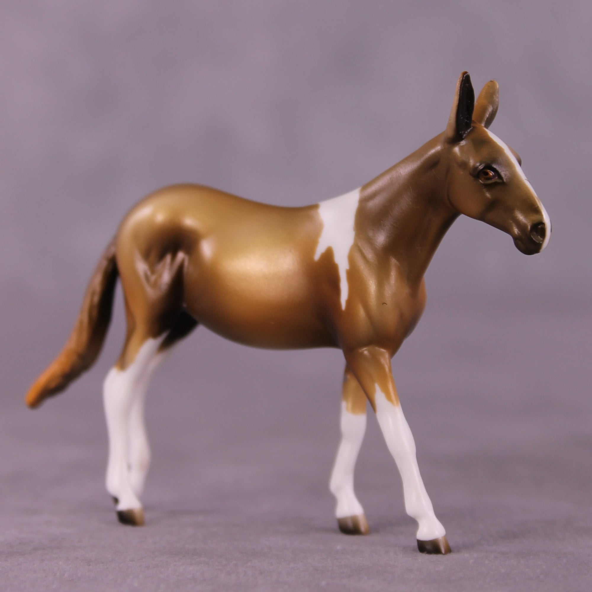 Jasmine OOAK Mule Chip by Kike Duarte EQ25