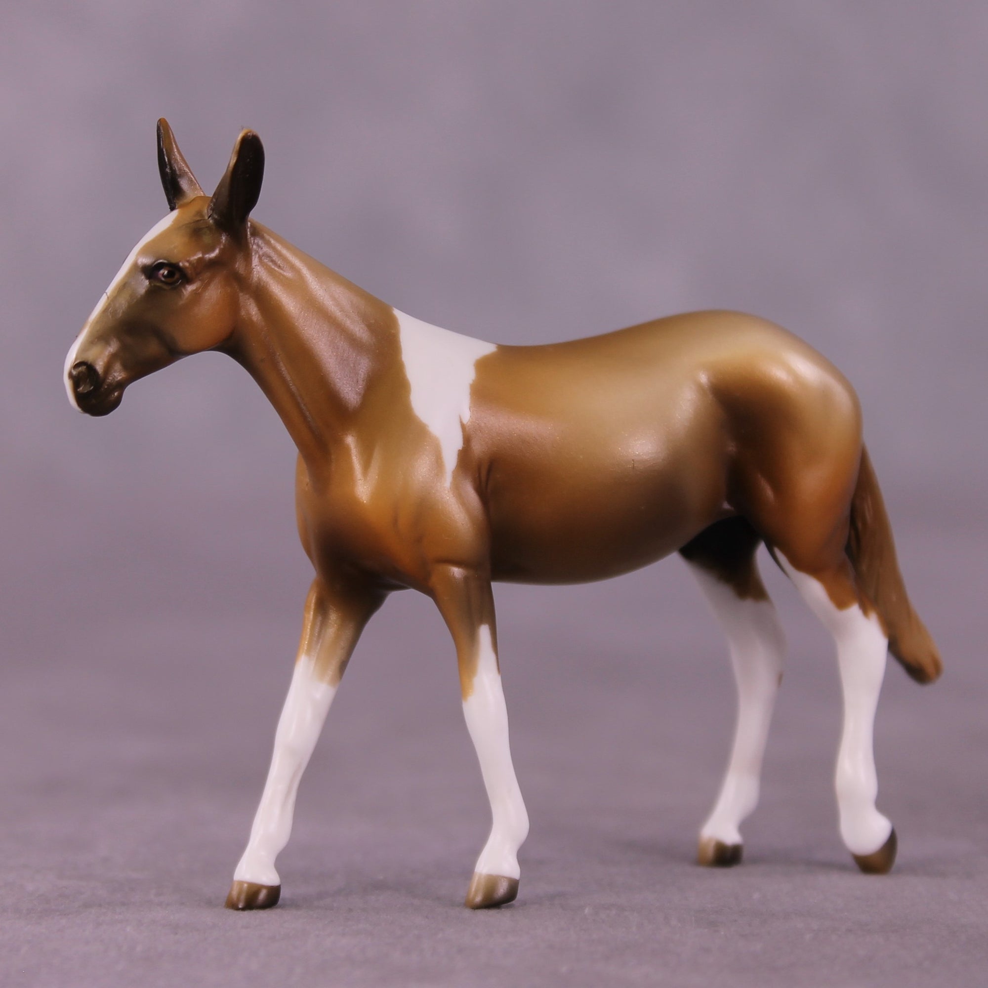 Jasmine OOAK Mule Chip by Kike Duarte EQ25