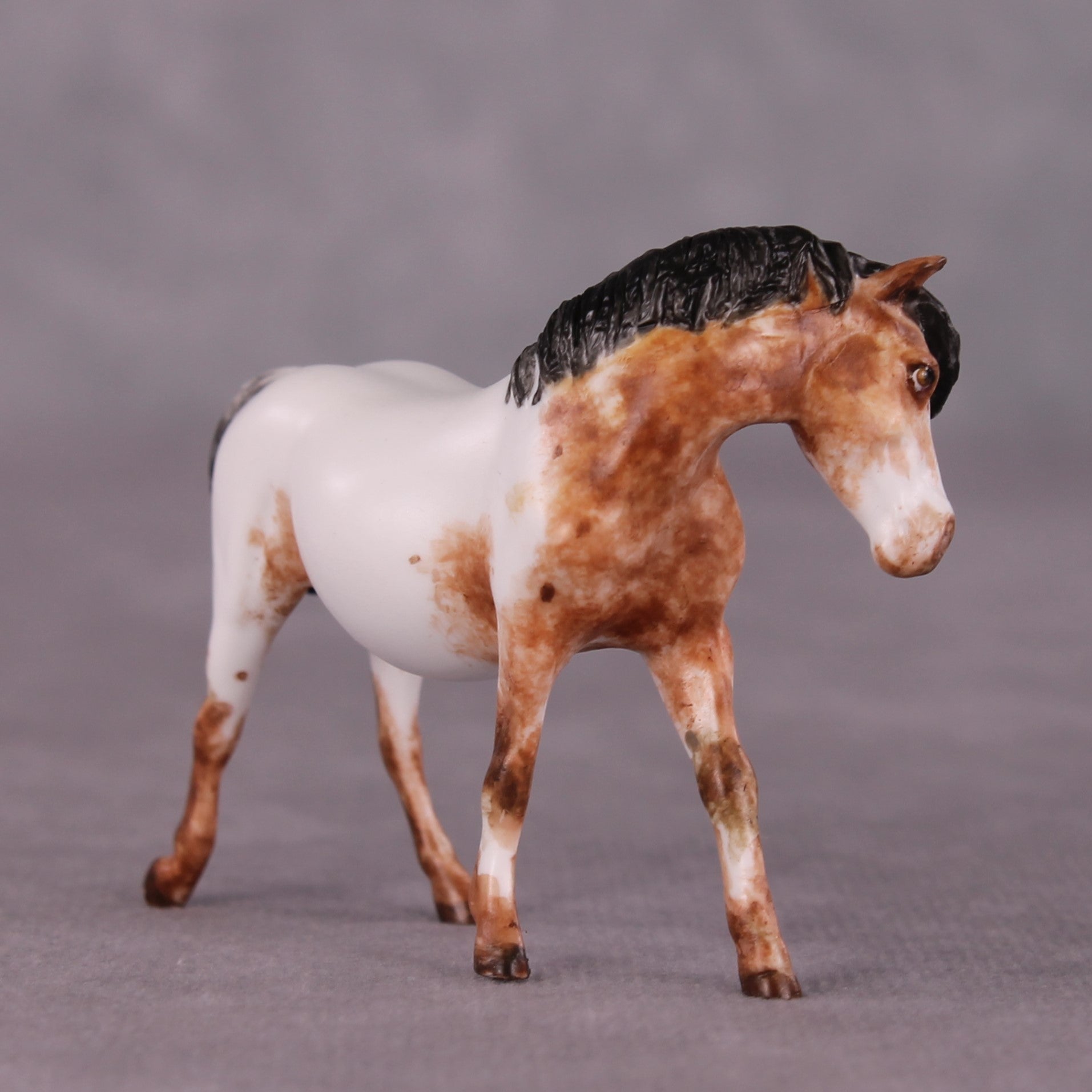 "Tidder" OOAK FCM Pony Chip by Andrea Thomason SHCF25