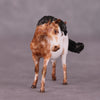 &quot;Tidder&quot; OOAK FCM Pony Chip by Andrea Thomason SHCF25