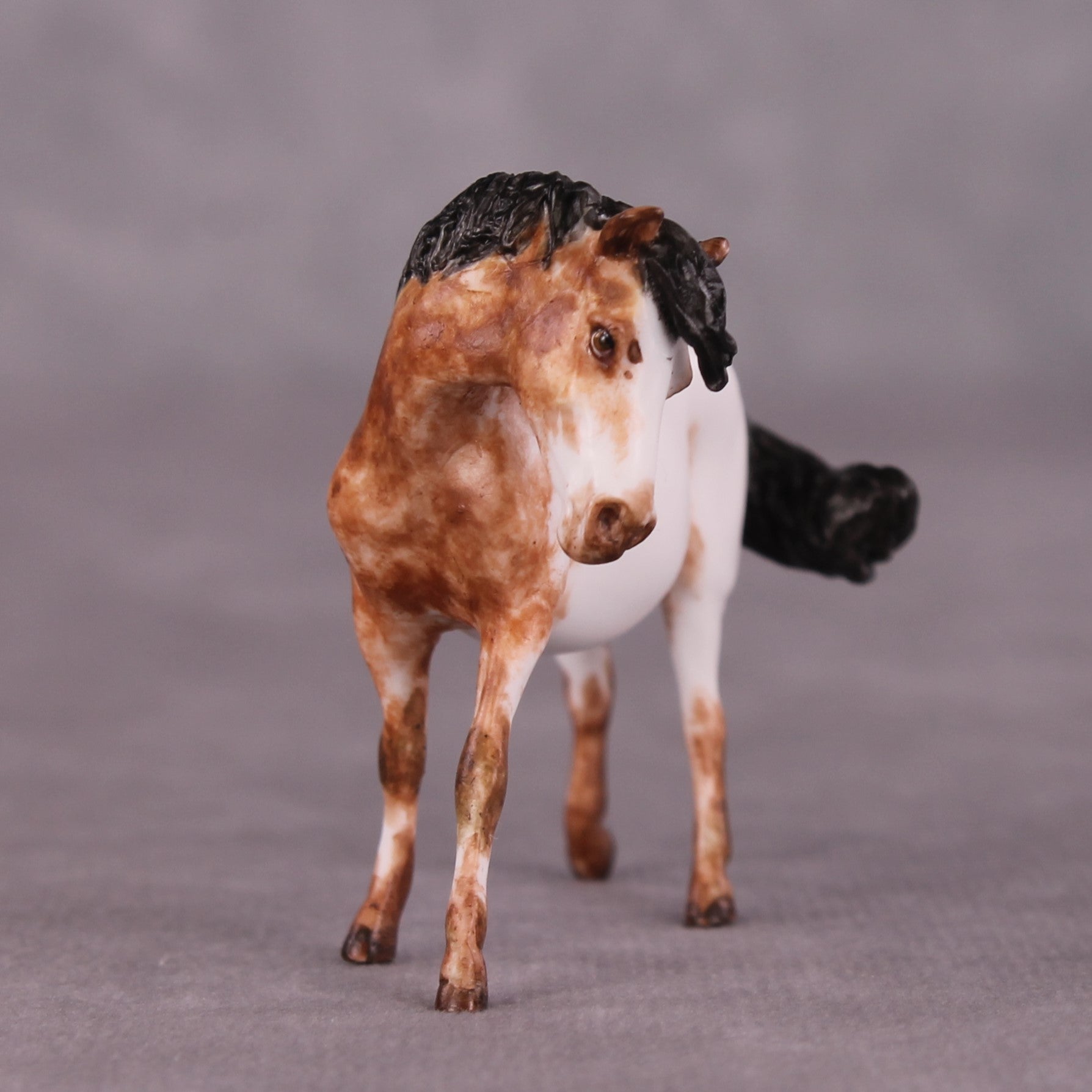 "Tidder" OOAK FCM Pony Chip by Andrea Thomason SHCF25