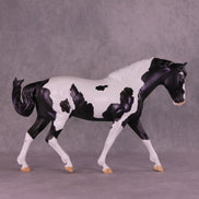 Astraeo or Jupiter LE-24 FCM Irish Draught By Dawn Quick FS25