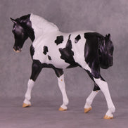 Astraeo or Jupiter LE-24 FCM Irish Draught By Dawn Quick FS25