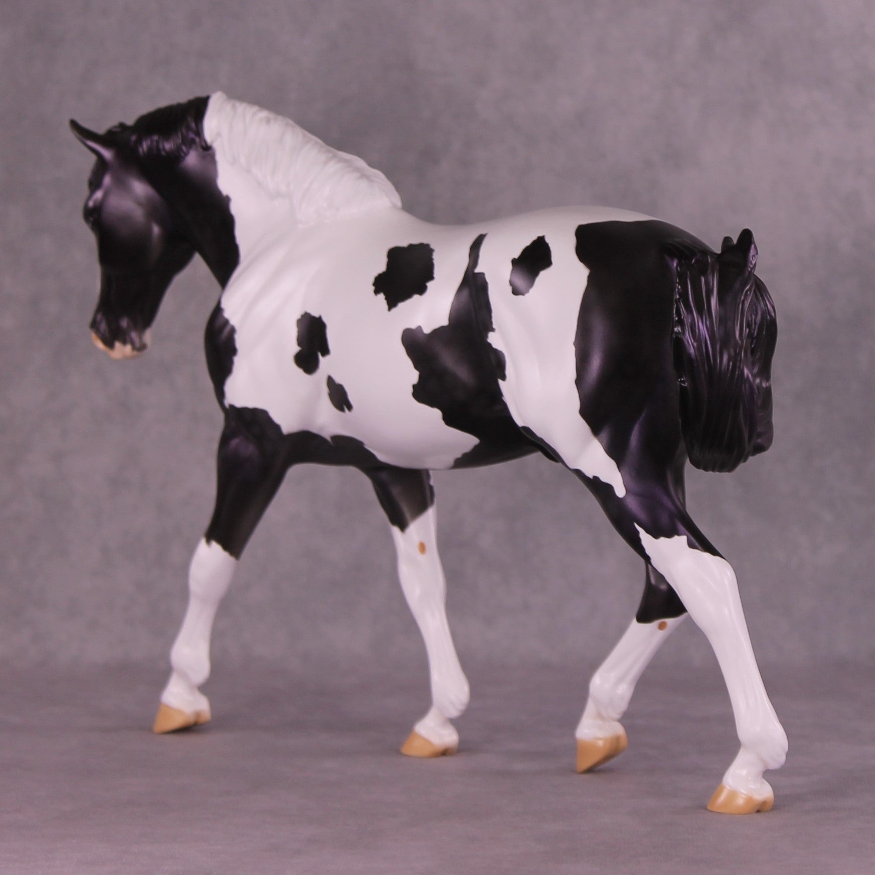 Astraeo or Jupiter LE-24 FCM Irish Draught By Dawn Quick FS25