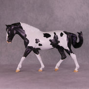 Astraeo or Jupiter LE-24 FCM Irish Draught By Dawn Quick FS25