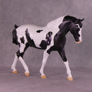 Astraeo or Jupiter LE-24 FCM Irish Draught By Dawn Quick FS25