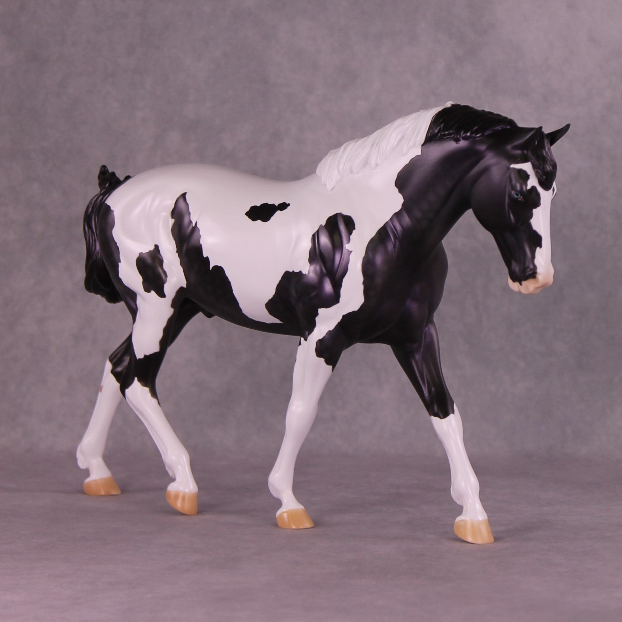 Astraeo or Jupiter LE-24 FCM Irish Draught By Dawn Quick FS25