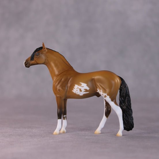 "Bogota" LE-5 Andalusian Chip By Erin Corbett $99 Chips Sale 05/01/2025
