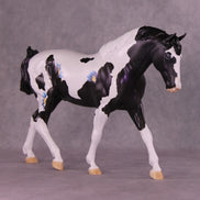 Astraeo or Jupiter LE-24 FCM Irish Draught By Dawn Quick FS25