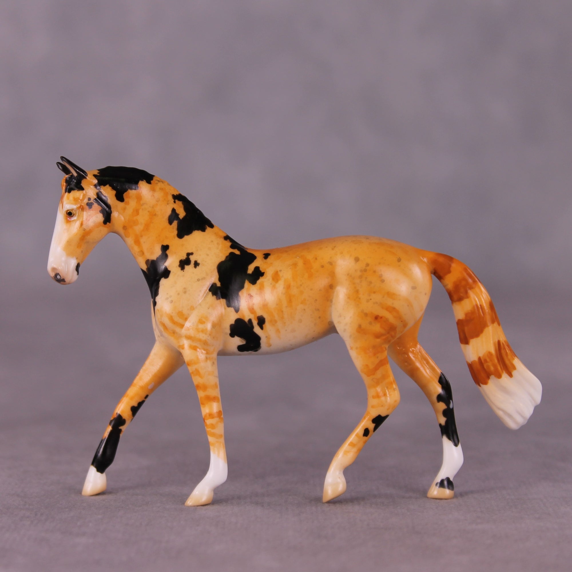 "Mr. Whiskers" OOAK Warmblood Chip By Jess Hamill - Menagerie Series