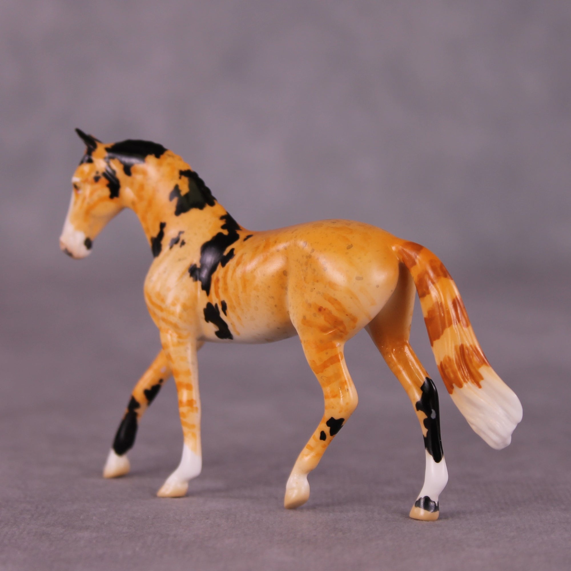 "Mr. Whiskers" OOAK Warmblood Chip By Jess Hamill - Menagerie Series