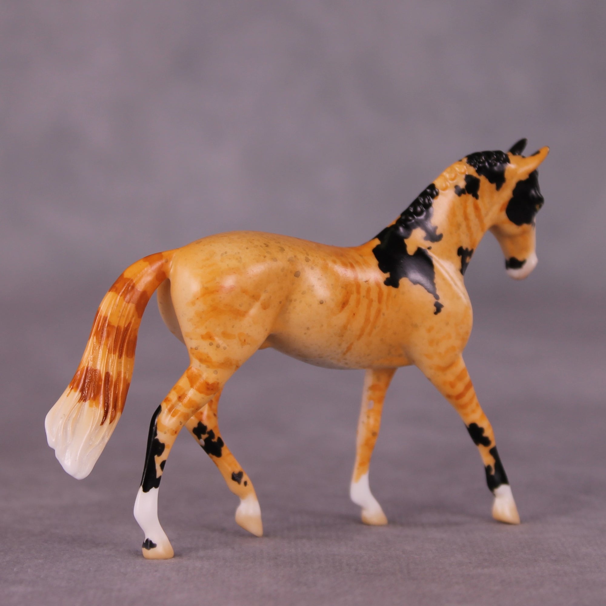 "Mr. Whiskers" OOAK Warmblood Chip By Jess Hamill - Menagerie Series