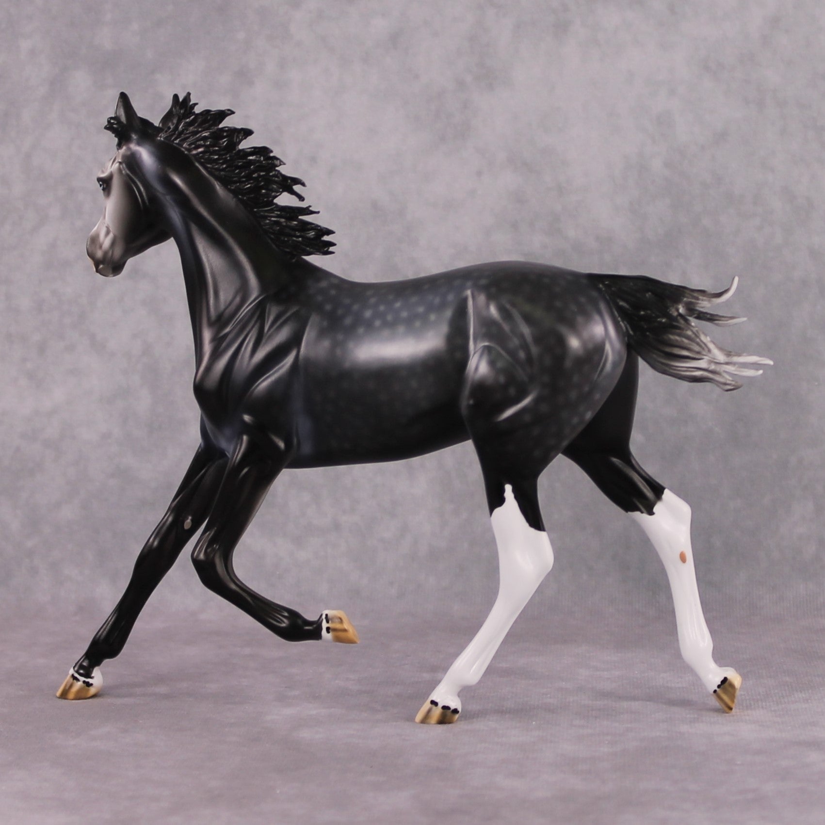 "Turquoise" OOAK Dark Dapple Grey Arabian Yearling by Dawn Quick Best Offer 02/25/2025