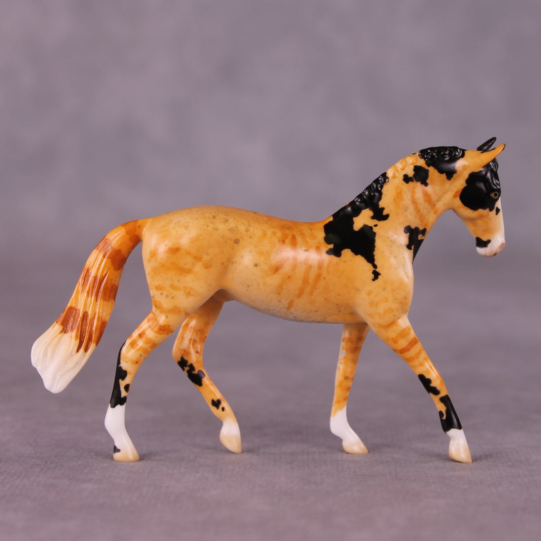 "Mr. Whiskers" OOAK Warmblood Chip By Jess Hamill - Menagerie Series