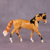&quot;Mr. Whiskers&quot; OOAK Warmblood Chip By Jess Hamill - Menagerie Series