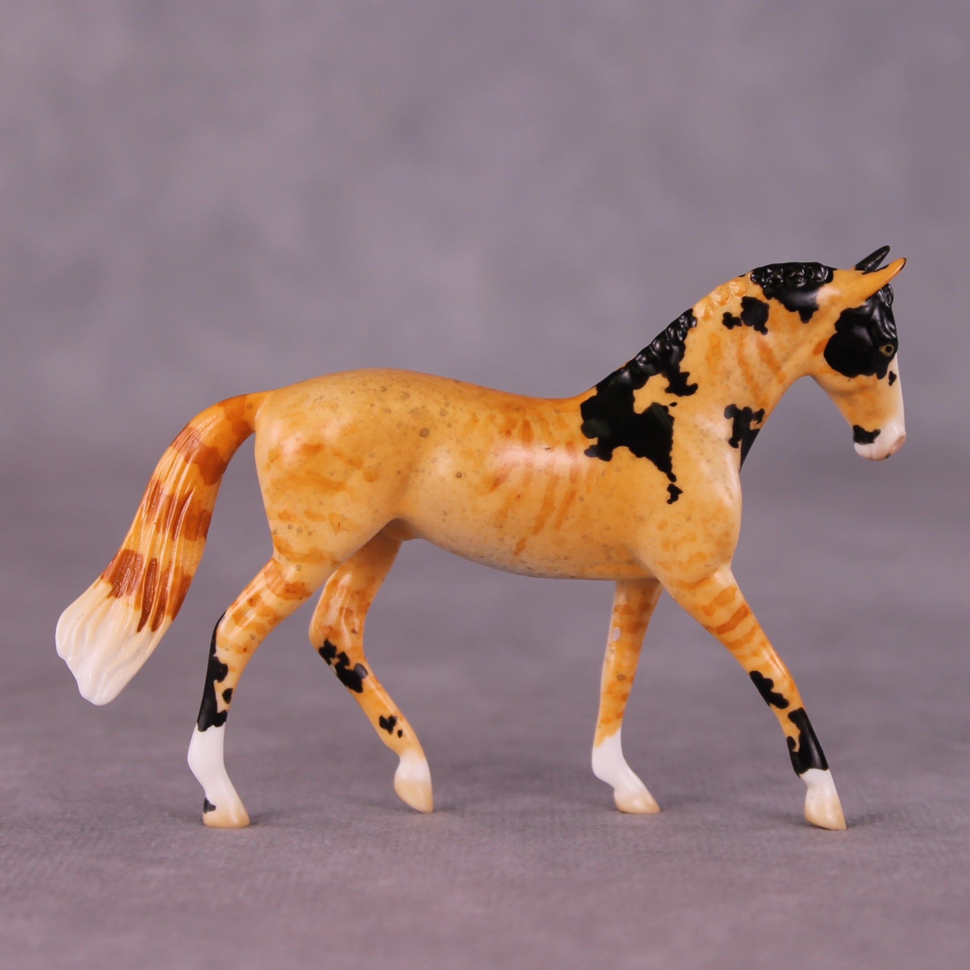 "Mr. Whiskers" OOAK Warmblood Chip By Jess Hamill - Menagerie Series