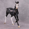 &quot;Turquoise&quot; OOAK Dark Dapple Grey Arabian Yearling by Dawn Quick Best Offer 02/25/2025