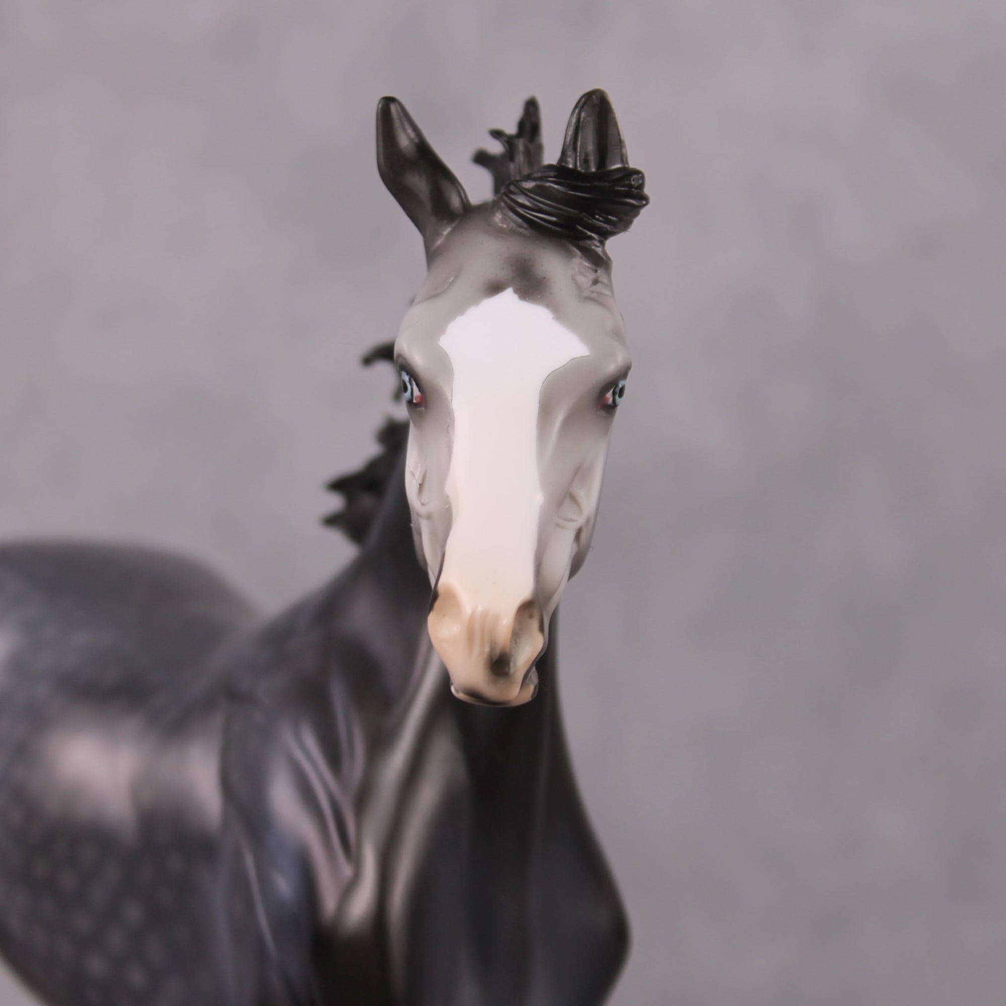 "Turquoise" OOAK Dark Dapple Grey Arabian Yearling by Dawn Quick Best Offer 02/25/2025