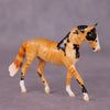 &quot;Mr. Whiskers&quot; OOAK Warmblood Chip By Jess Hamill - Menagerie Series