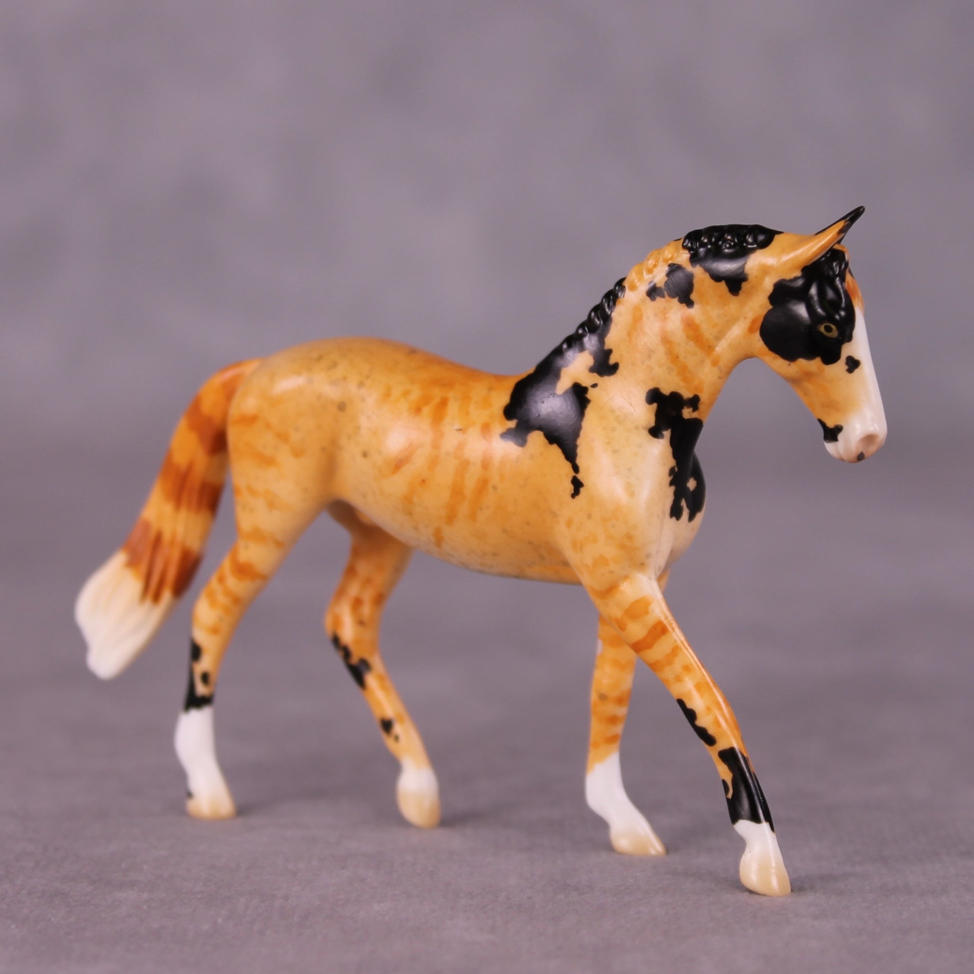 "Mr. Whiskers" OOAK Warmblood Chip By Jess Hamill - Menagerie Series