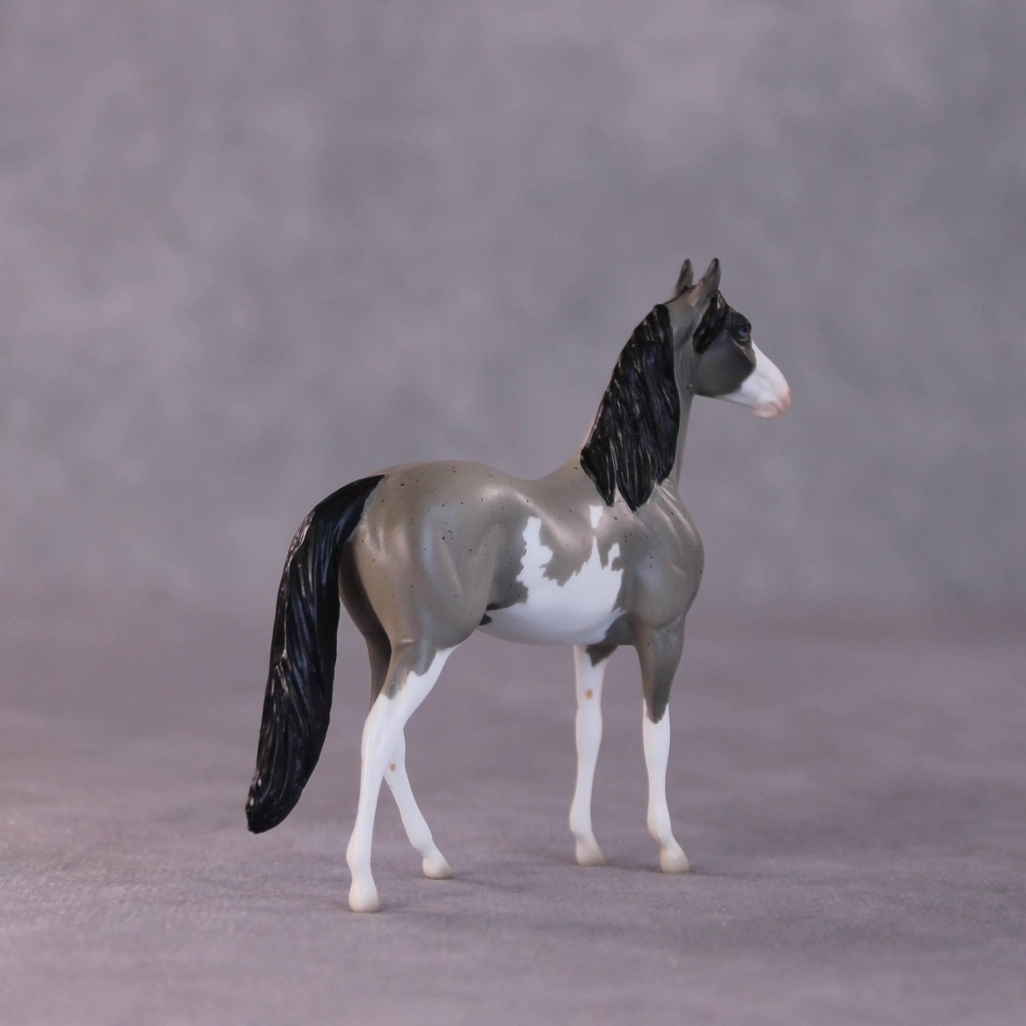 "Interstellar" LE-5 Morgan Chip By Erin Corbett $99 Chips Sale 05/01/2025