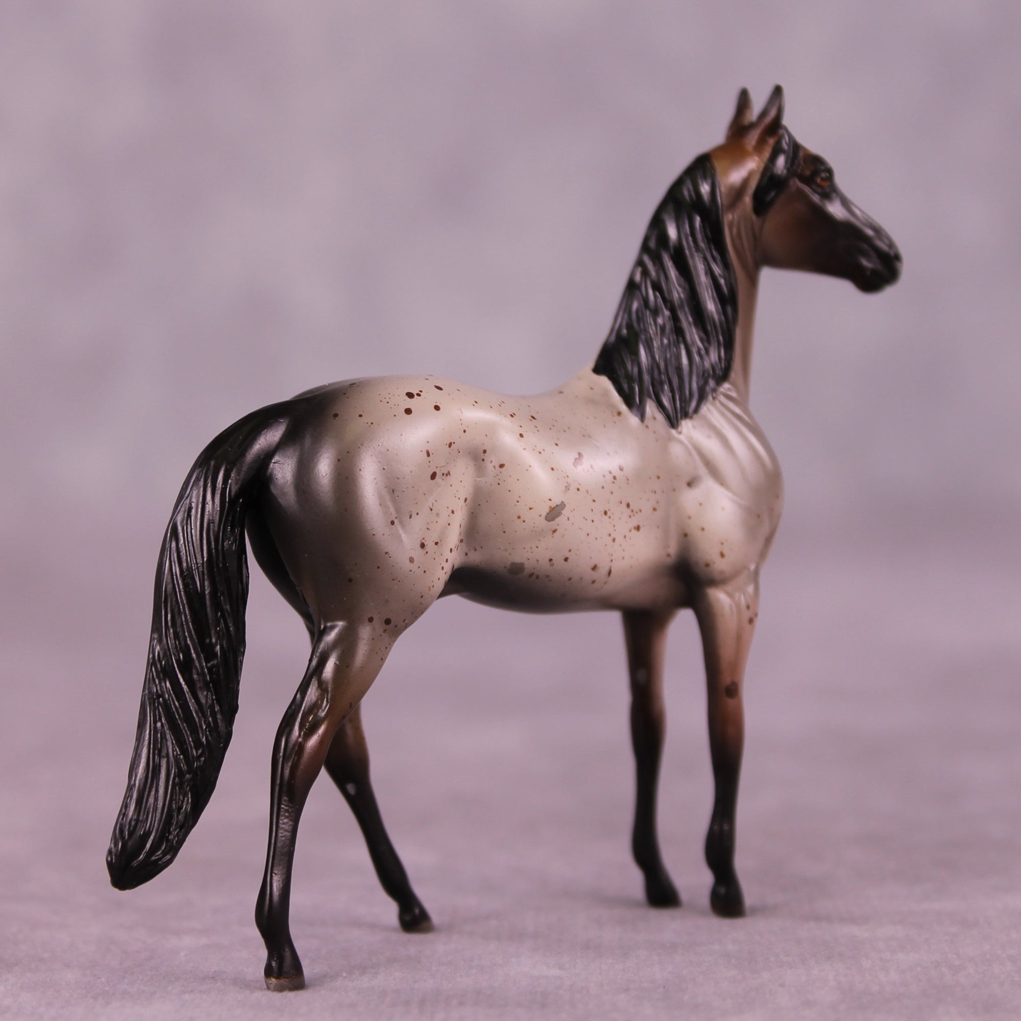 Nash OOAK Morgan Chip by Anna Rieck LHS25