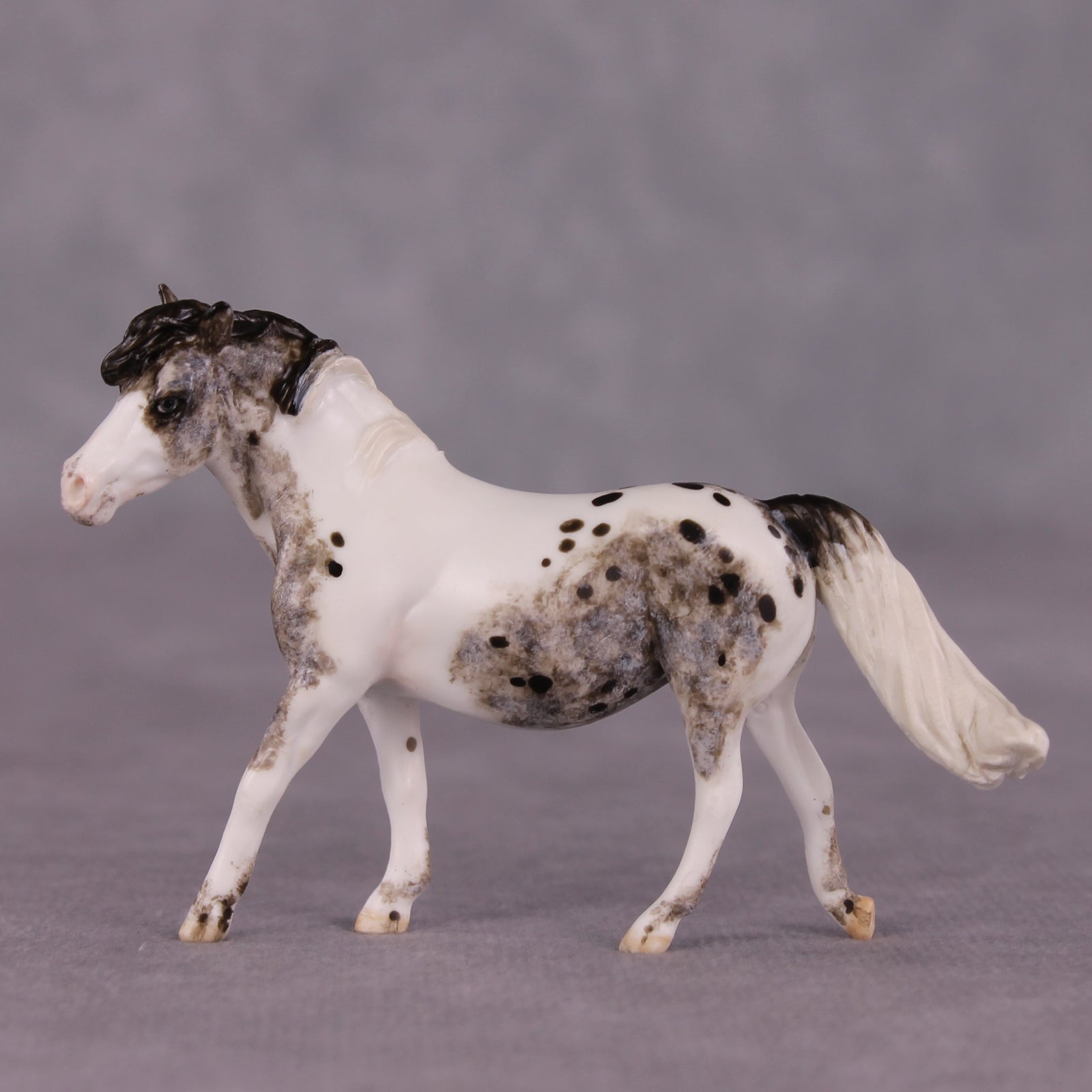 "Tabu" OOAK FCM Pony Chip by Andrea Thomason SHCF25