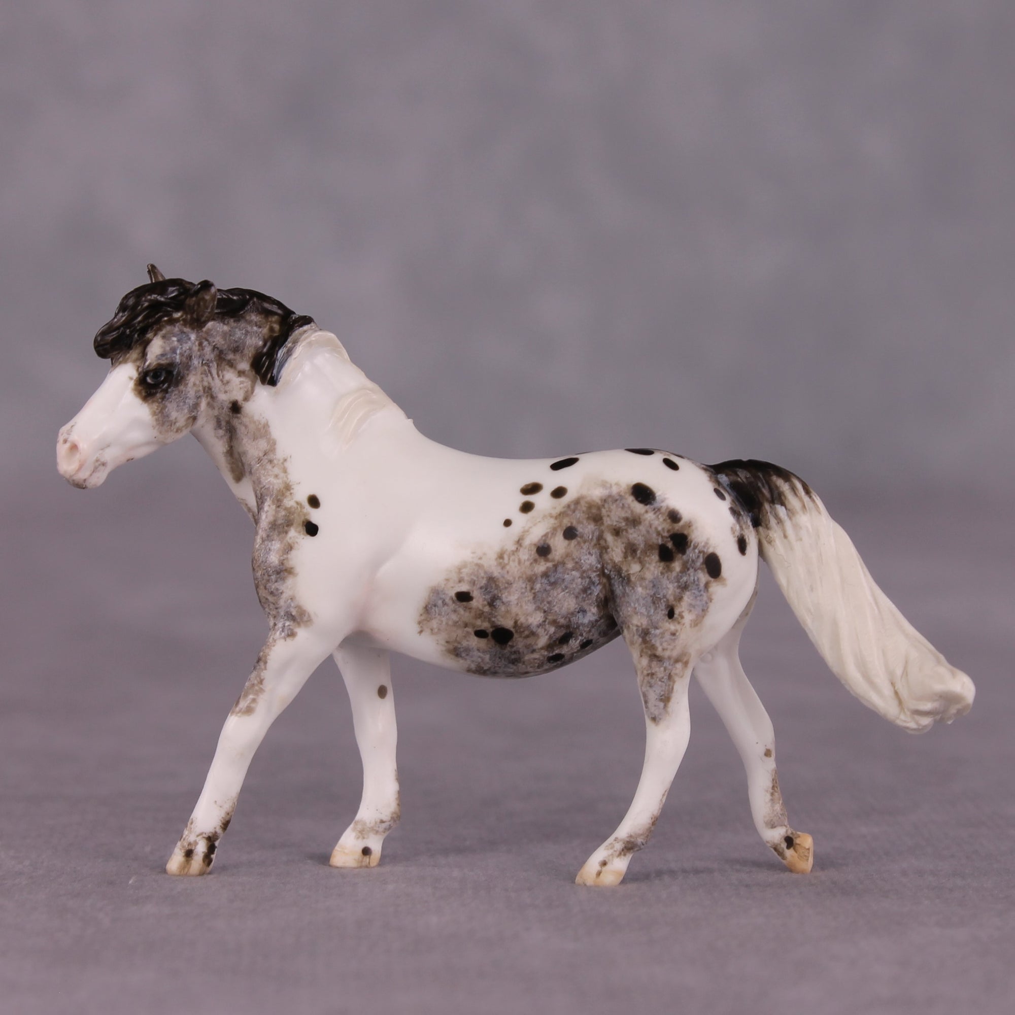 "Tabu" OOAK FCM Pony Chip by Andrea Thomason SHCF25