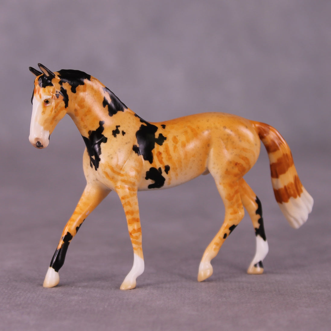 "Mr. Whiskers" OOAK Warmblood Chip By Jess Hamill - Menagerie Series